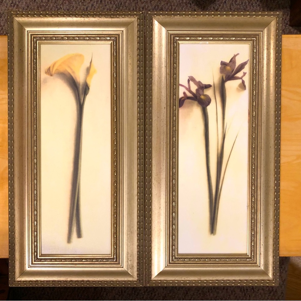 Framed Flower Canvas Prints